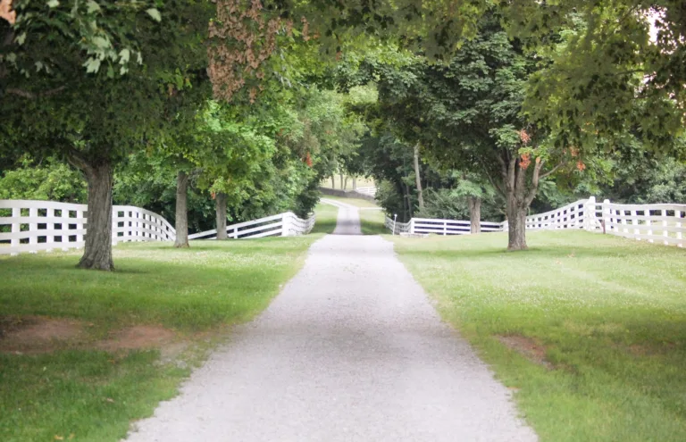 maintaining gravel driveway